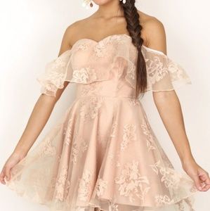 Showpo Evening Star Dress